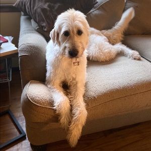 Meet your Posher, Aidan